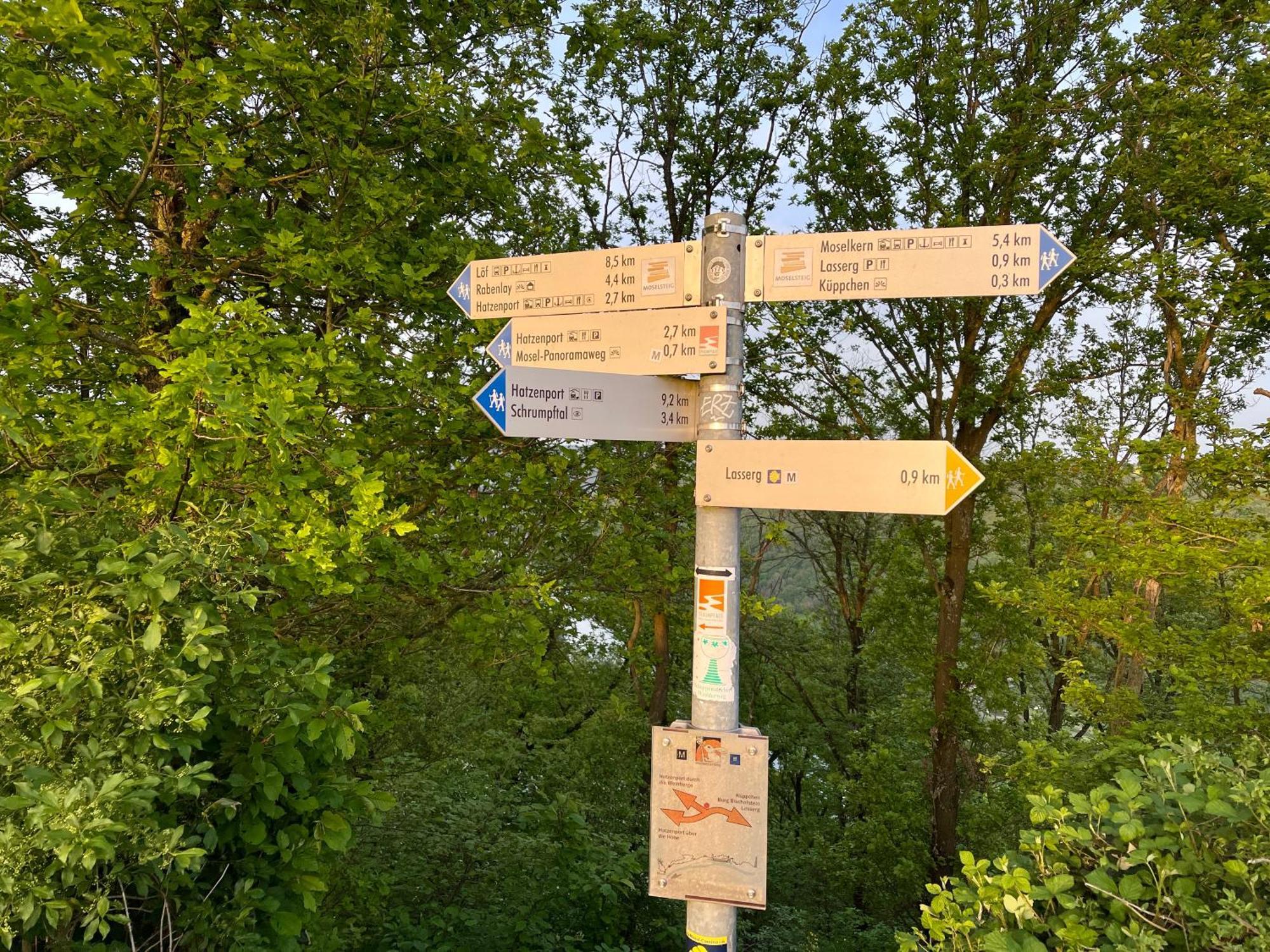 Chalet Lasserg Munstermaifeld Экстерьер фото